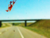Photo-little