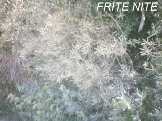 Photo-full