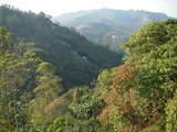 Photo-small