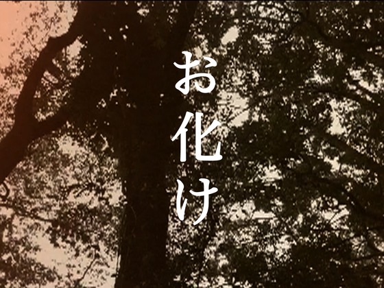 Photo-full