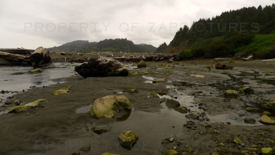Image-45797-full