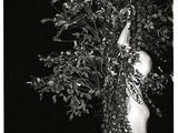 Photo-small