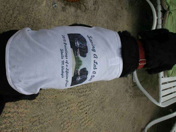Photo-full