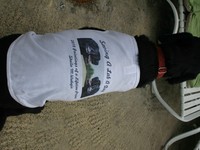 Photo-little