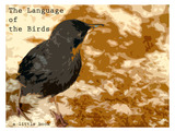 Photo-small