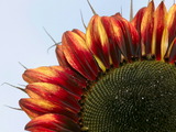 Photo-small