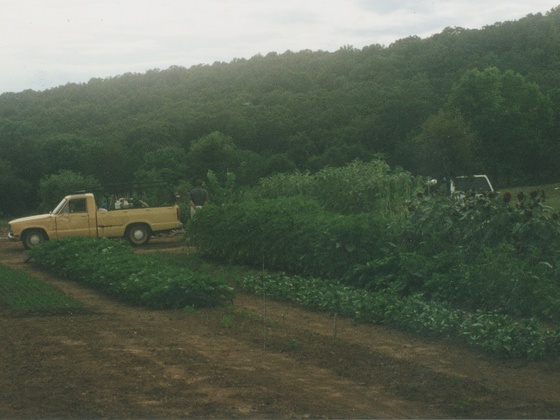 Photo-full