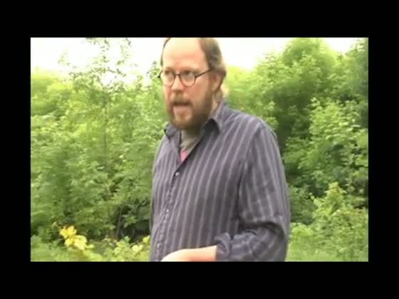 Video-42087-h264_high