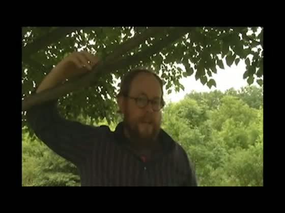 Video-43378-h264_high