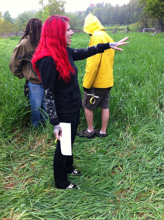 Image-44989-full