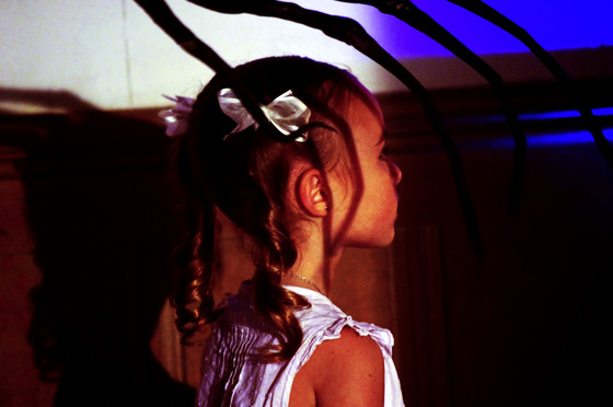 Image-45066-full