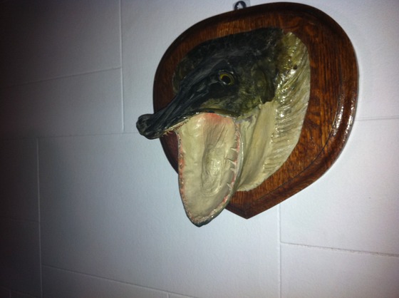 Image-45675-full