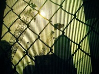 Photo-little
