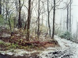 Photo-small