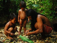 Photo-little