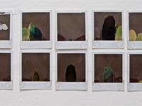 Photo-little