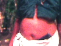 Photo-little