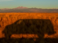 Photo-little