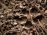 Photo-small