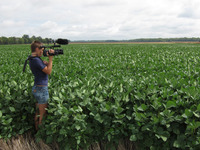 Photo-little