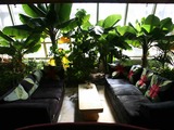 Photo-small