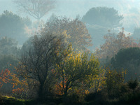 Photo-little