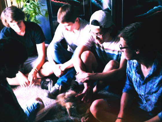 Photo-full