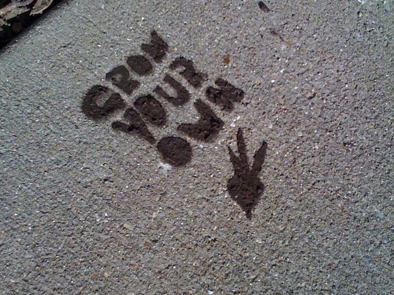 Photo-full