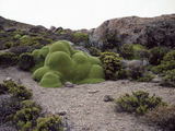 Photo-small
