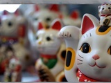 Photo-small