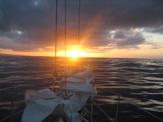 Image-96034-full