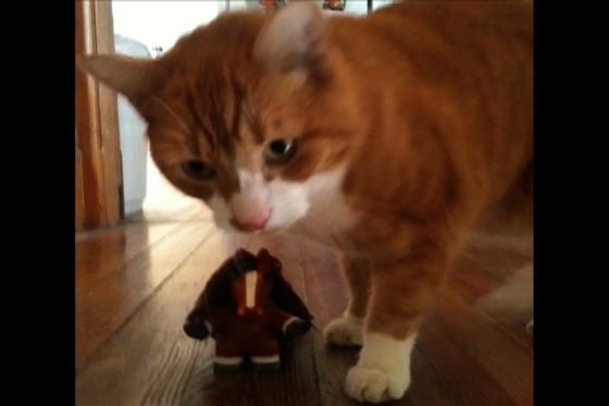 Image-77956-full