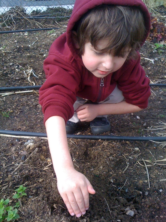 Image-69104-full