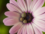 Photo-small