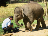 Photo-small