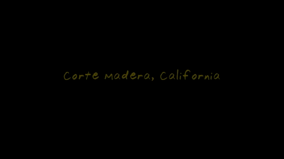 Video-13316-h264_high
