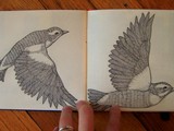 Photo-small