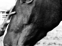 Photo-little
