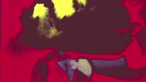 Video-64717-h264_high
