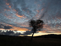 Photo-little
