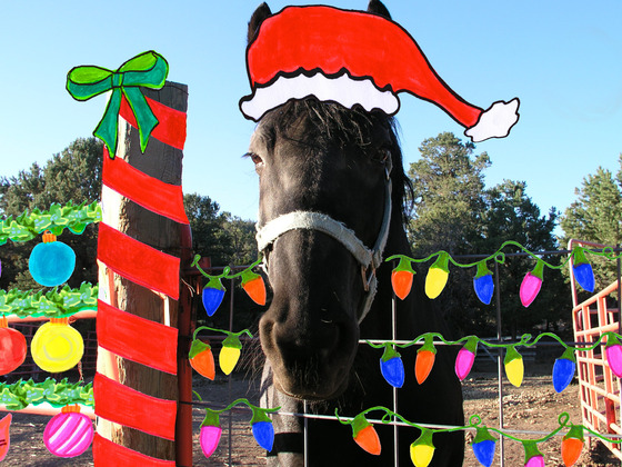 Photo-full