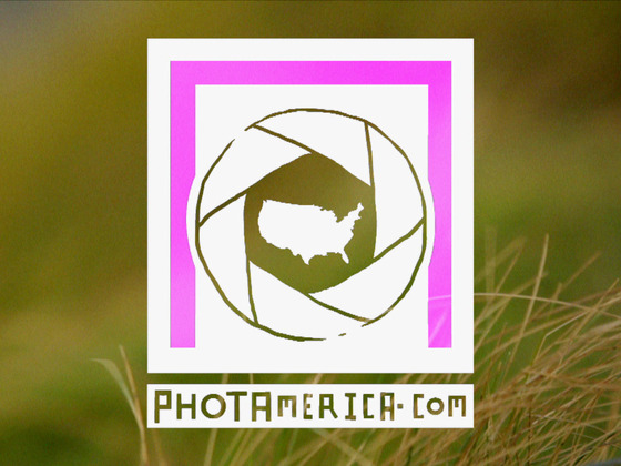 Photo-full