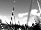 Photo-small