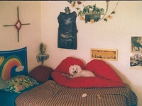 Photo-little