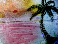Photo-little