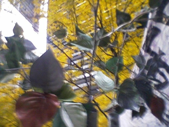 Photo-full