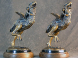 Photo-small