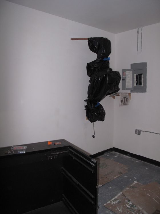 Image-96566-full