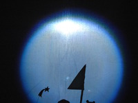 Photo-little