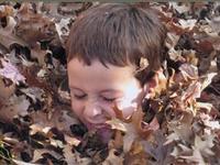 Photo-little